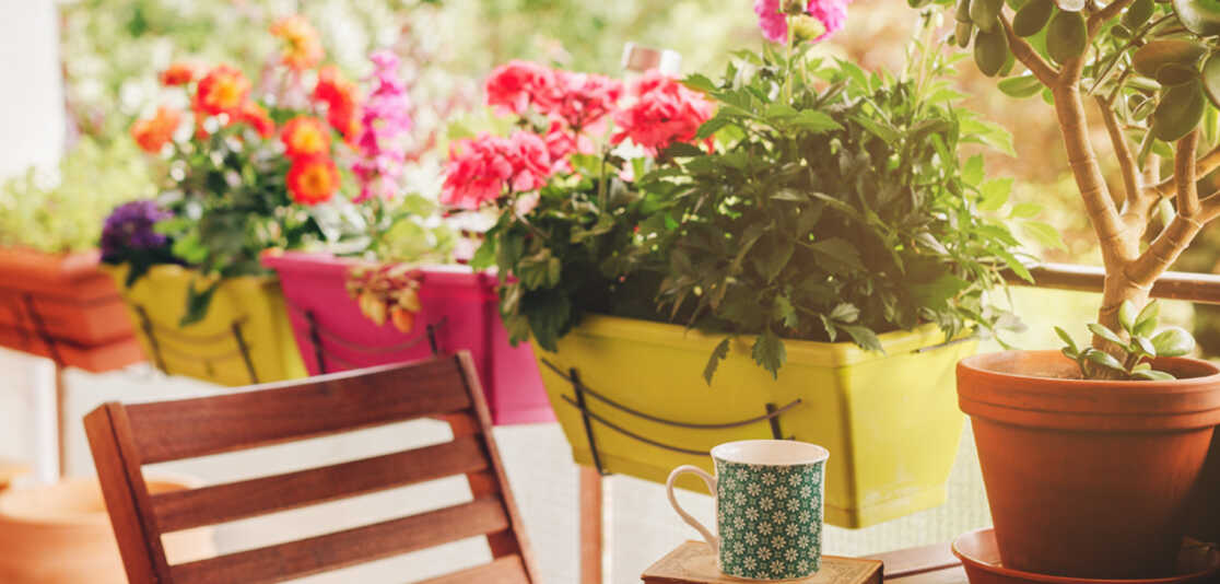 Turn your small balcony into a garden oasis Turn your small balcony into a garden oasis