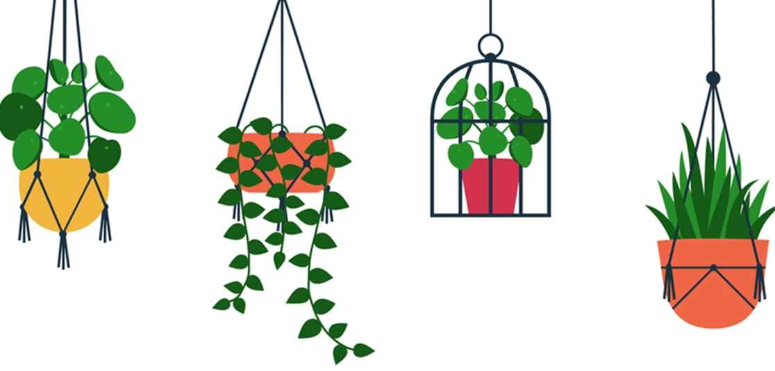 Simple hanging garden ideas Simple hanging garden ideas