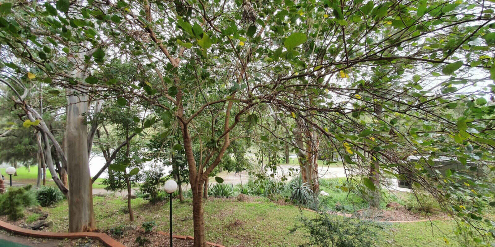 3/24 Hutton Street Hurlstone Park 3/24 Hutton Street Hurlstone Park