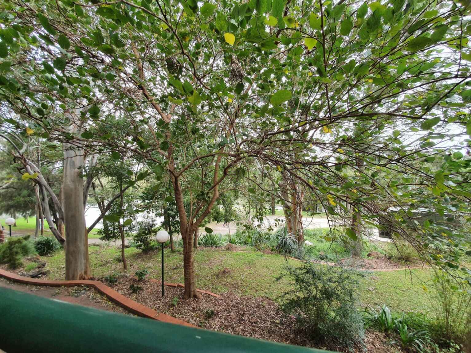 3/24 Hutton Street Hurlstone Park