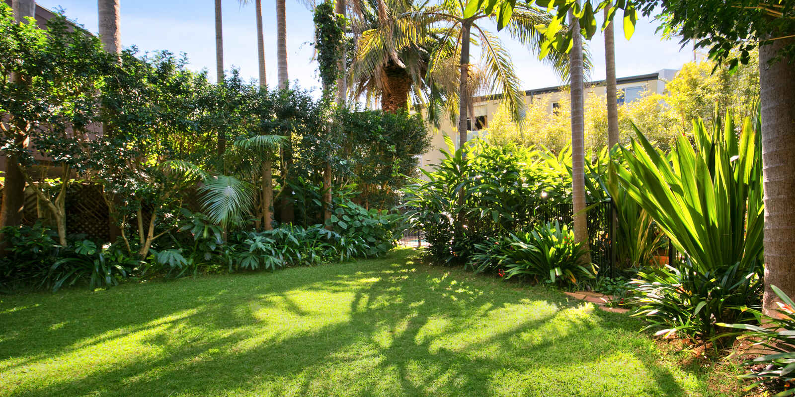 6 Dunbar Street Watsons Bay 6 Dunbar Street Watsons Bay