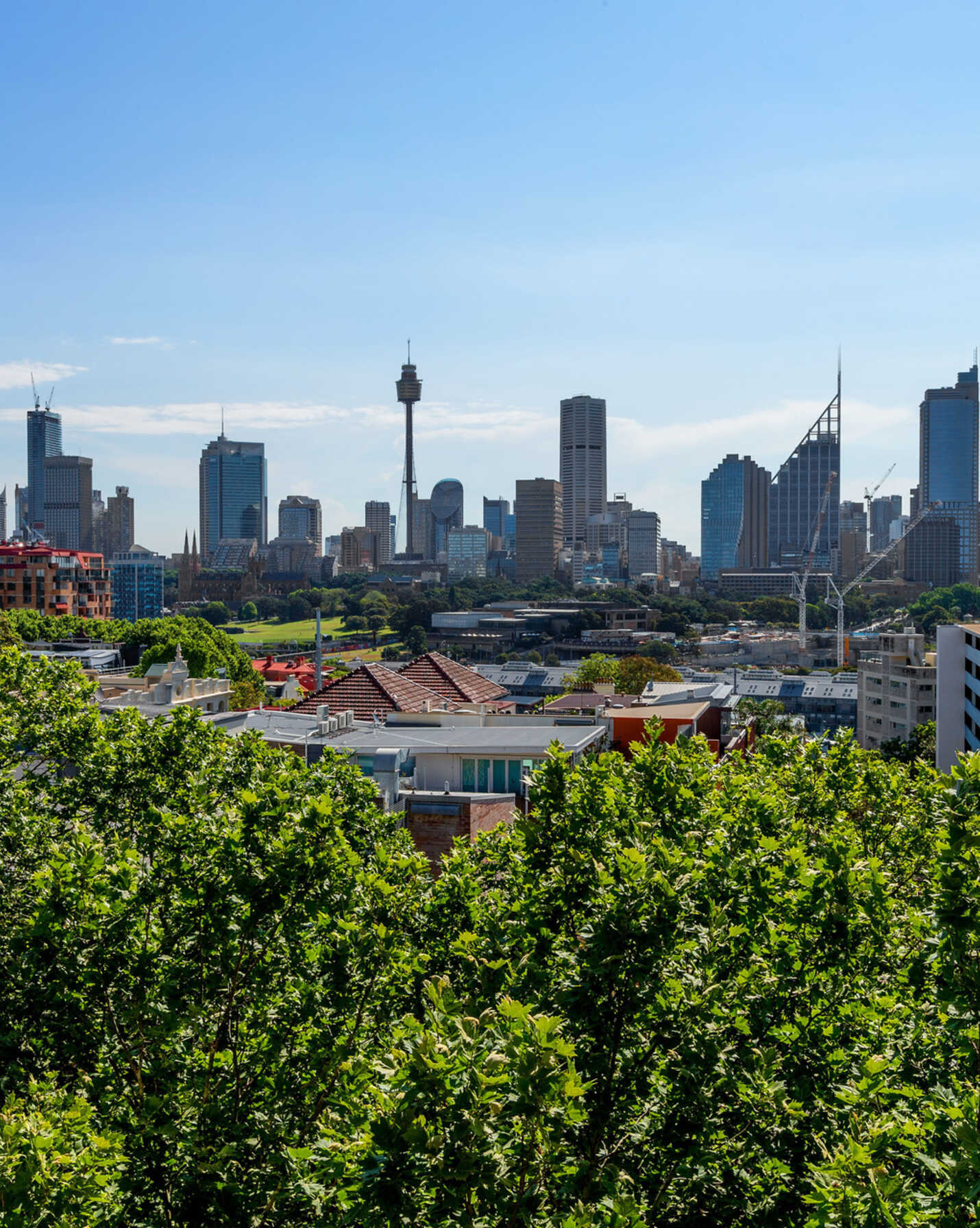 801/12 Macleay Street Potts Point, Point - Thumbnail 3
