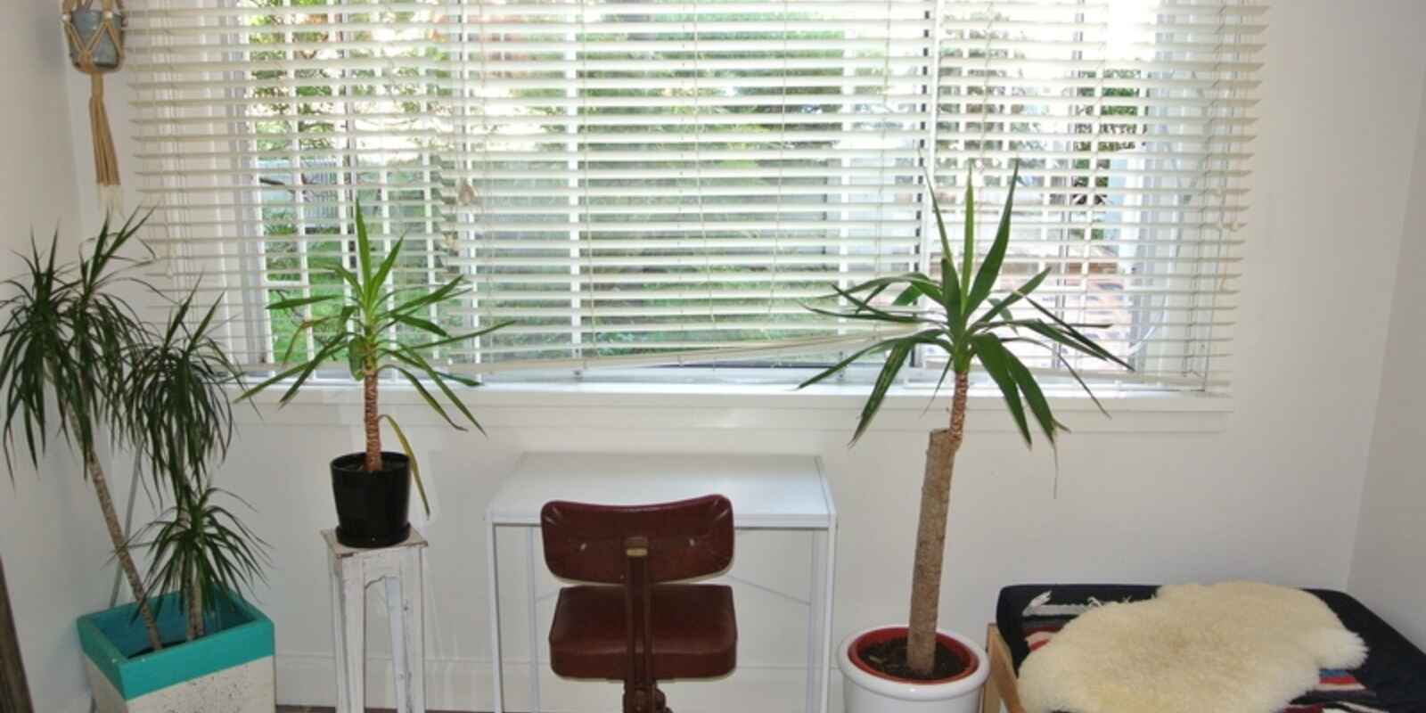 1/19 Sir Thomas Mitchell Road Bondi Beach