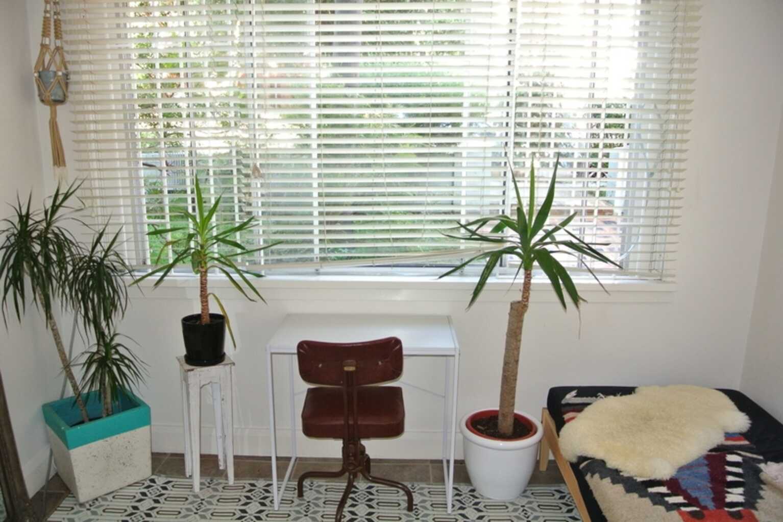 1/19 Sir Thomas Mitchell Road Bondi Beach