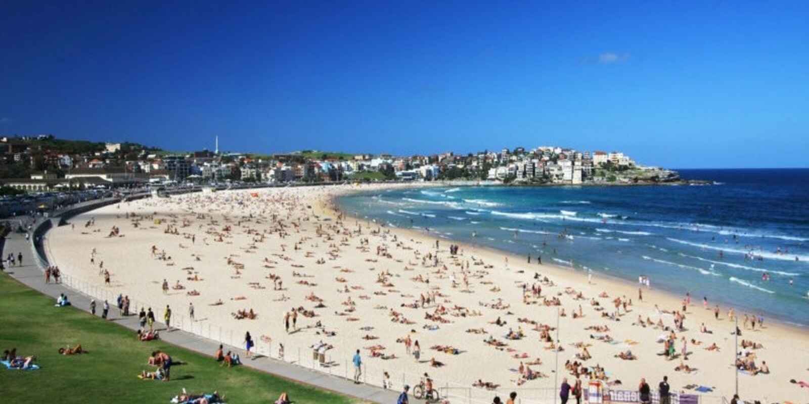 1/19 Sir Thomas Mitchell Road Bondi Beach