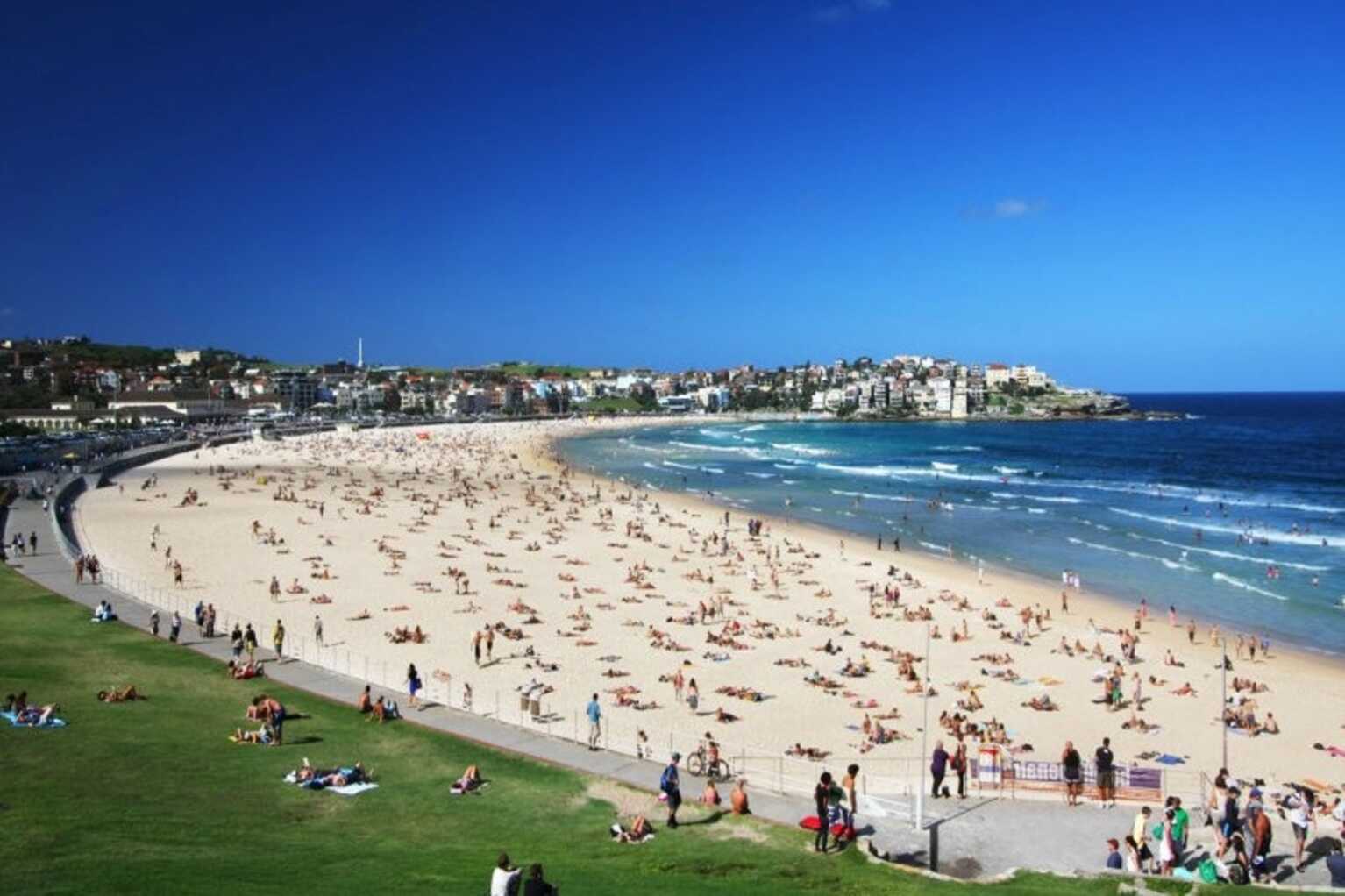 1/19 Sir Thomas Mitchell Road Bondi Beach