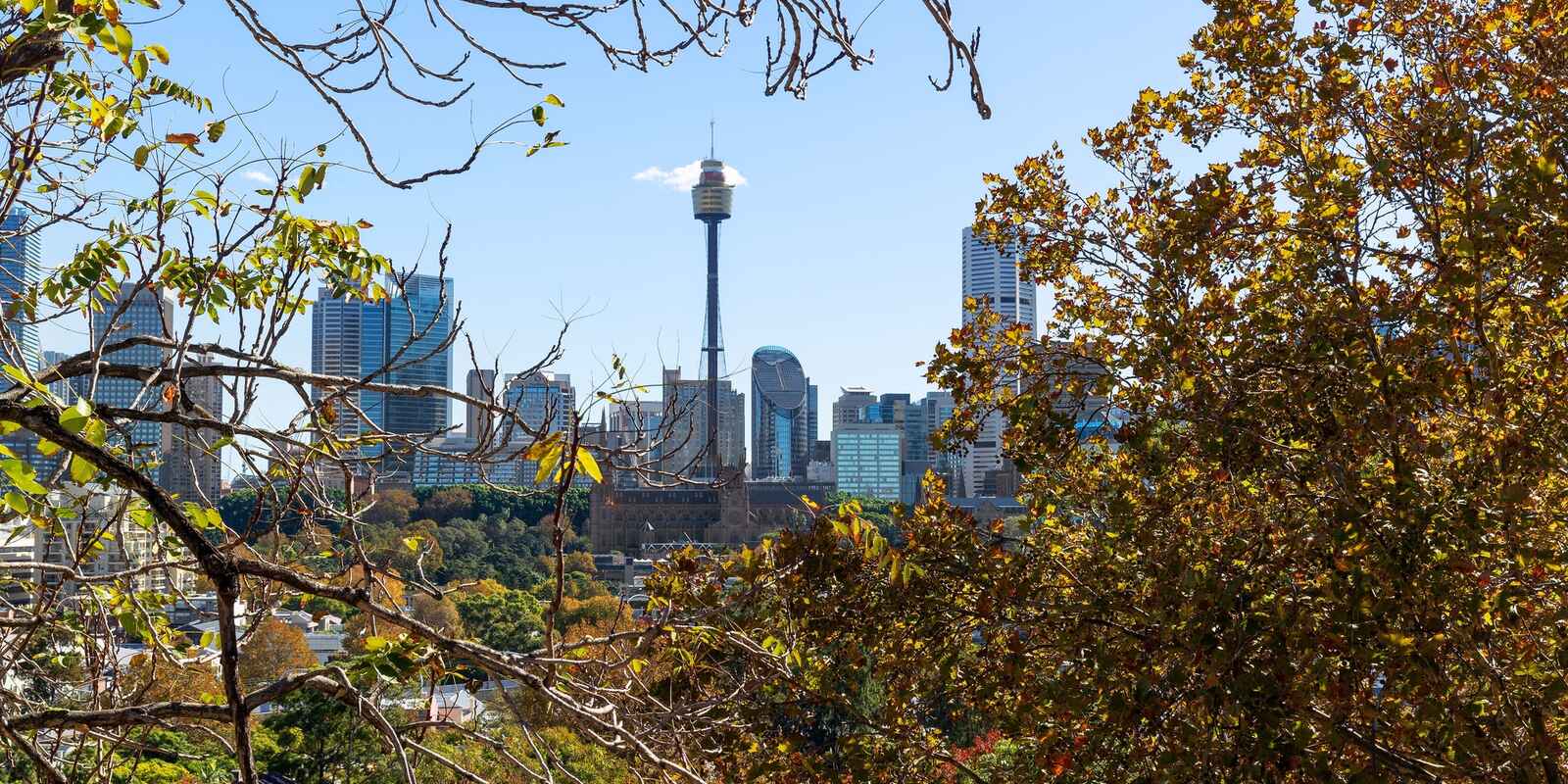 159 Victoria Street Potts Point