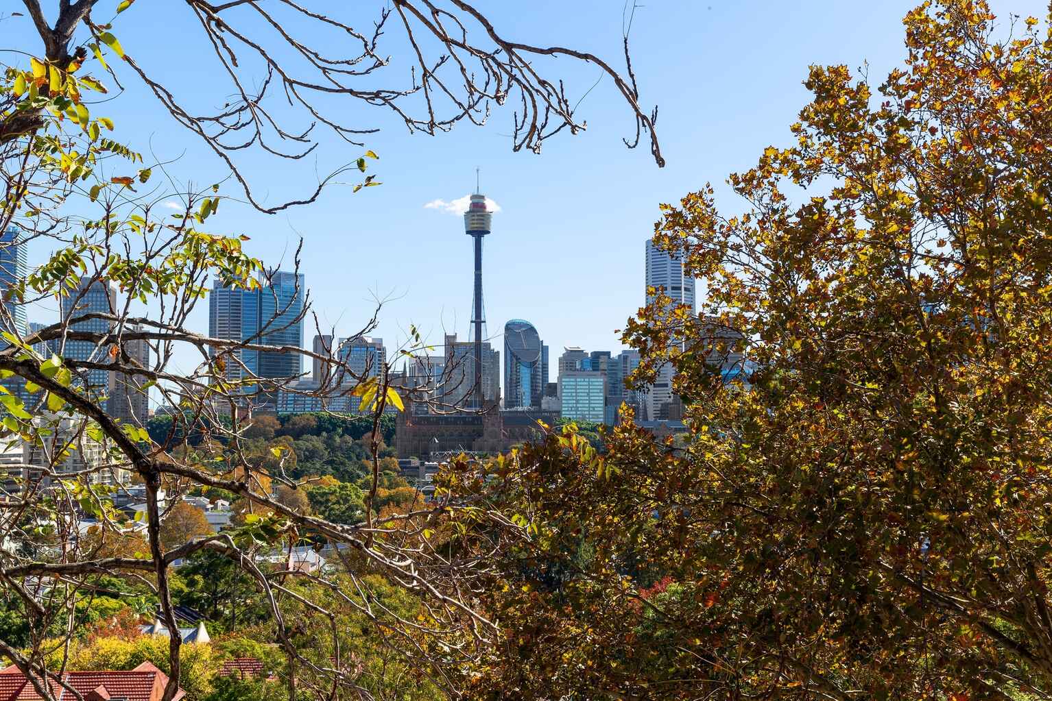 159 Victoria Street Potts Point