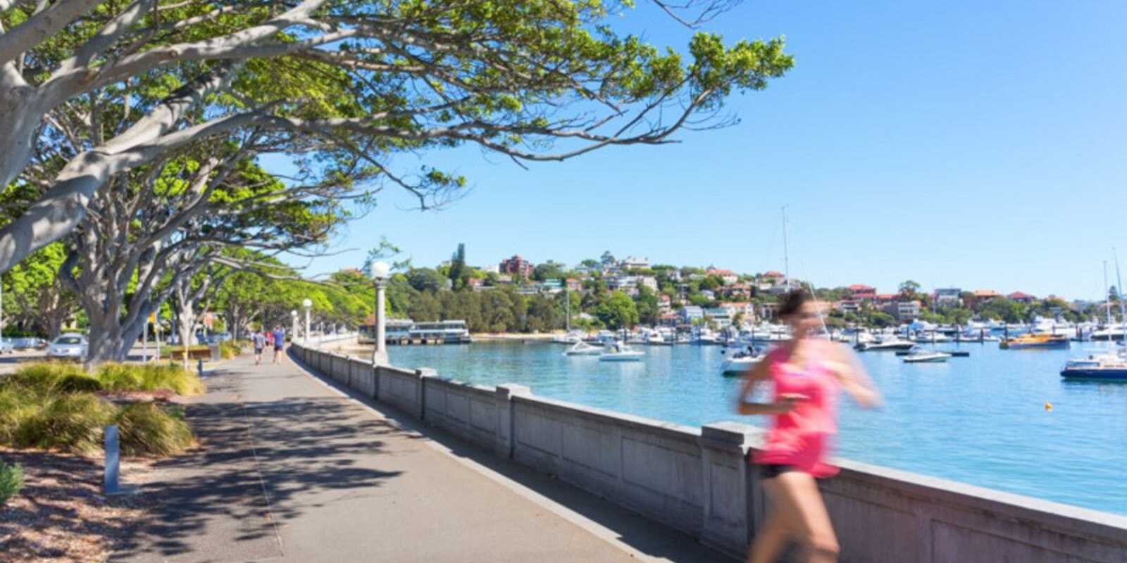 7/19 Balfour Road Rose Bay