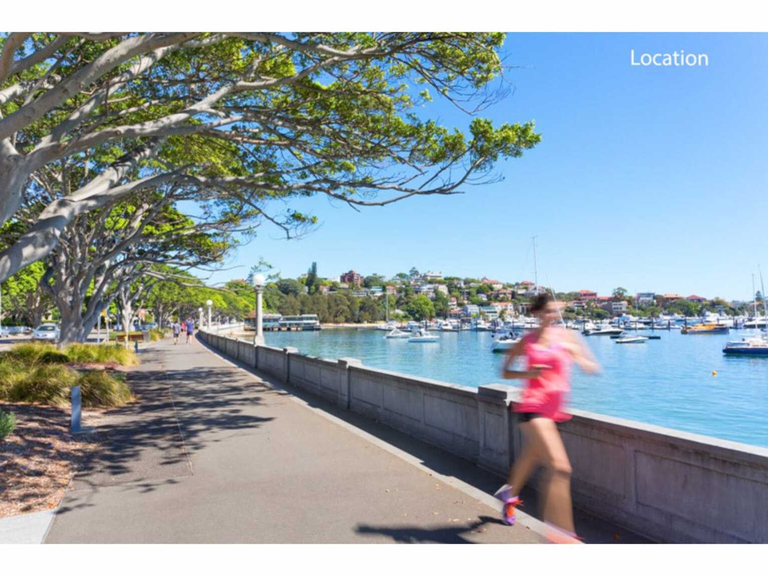 7/19 Balfour Road Rose Bay