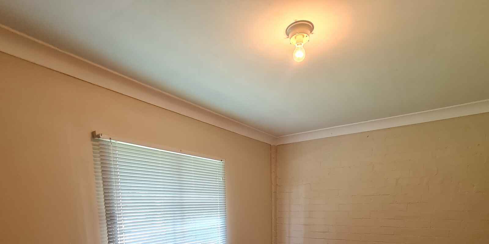 82 Garnet Street Hurlstone Park