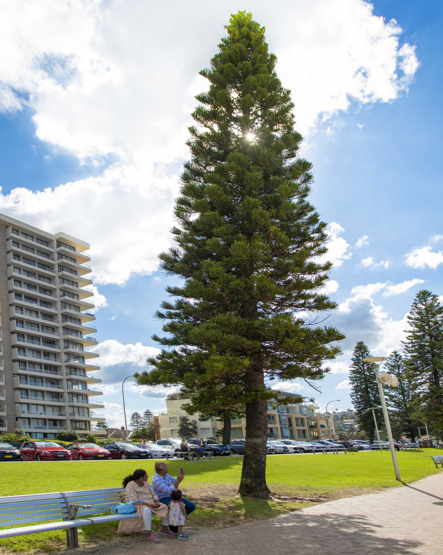 29/20 Bonner Manly, Manly - Thumbnail 8