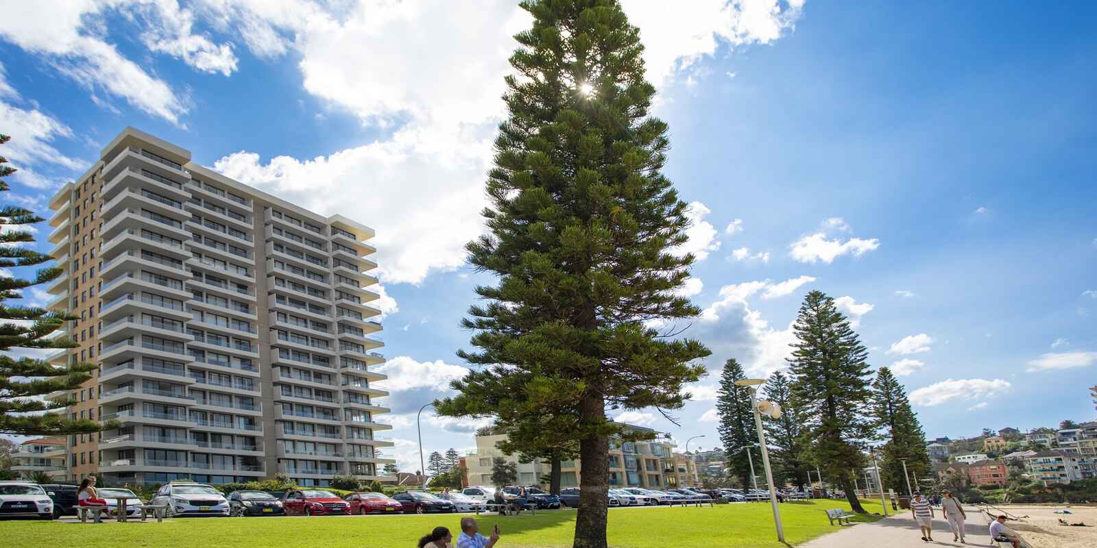 29/20 Bonner  Manly