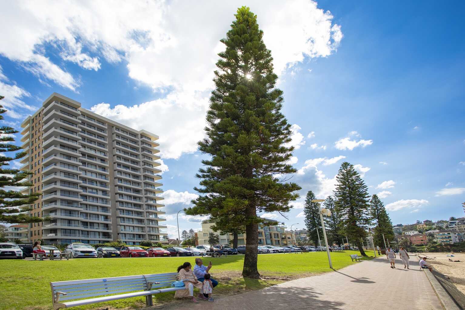 29/20 Bonner  Manly