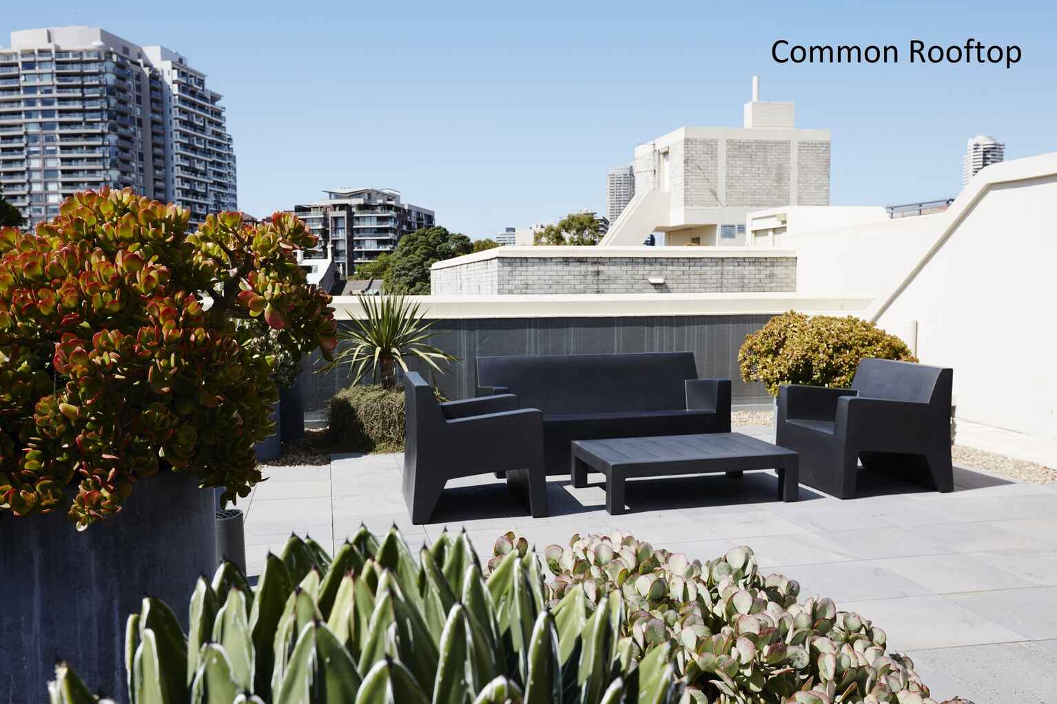 43/40 Victoria Street Potts Point