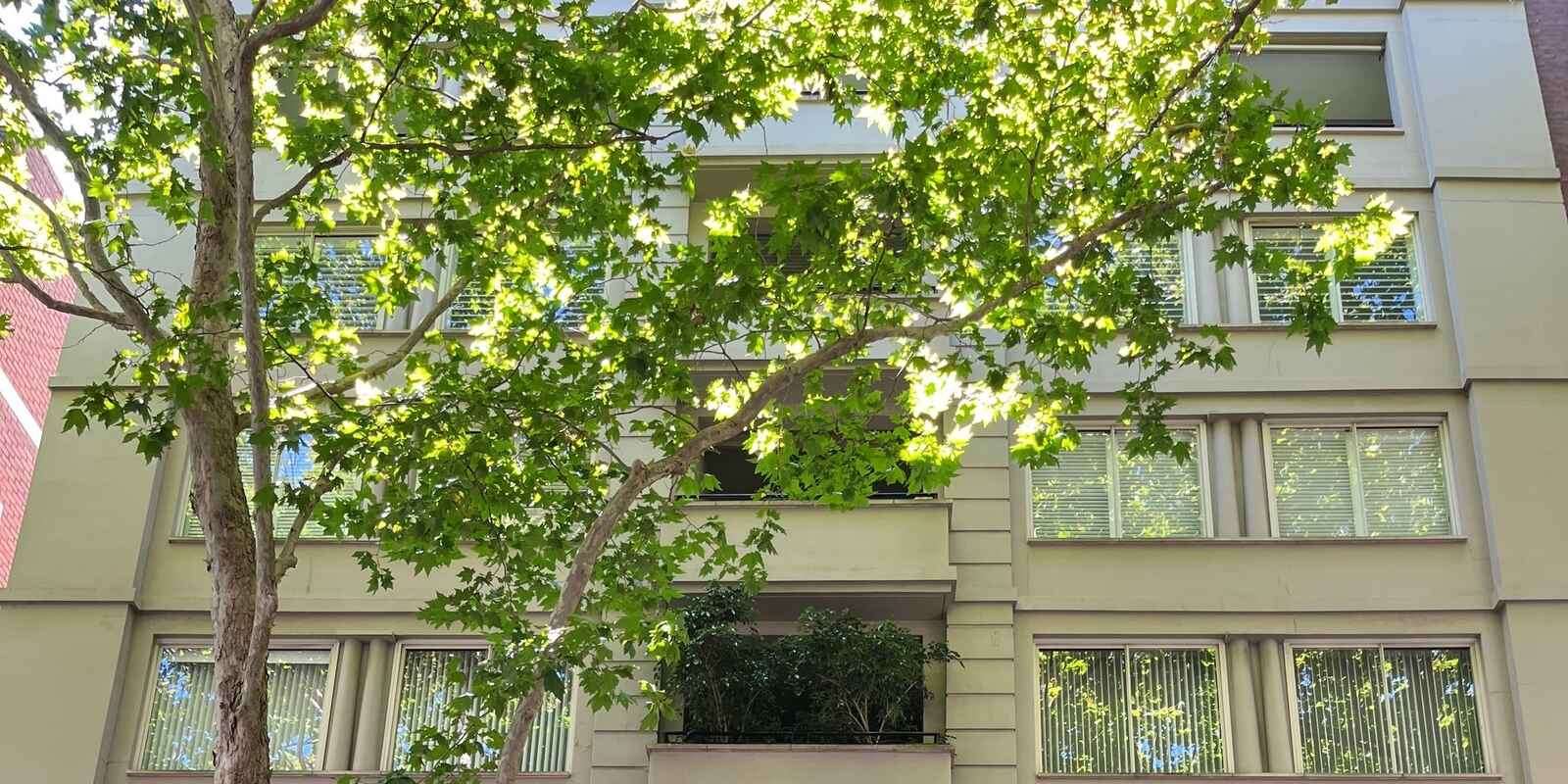 16/18 Macleay Street Potts Point 16/18 Macleay Street Potts Point