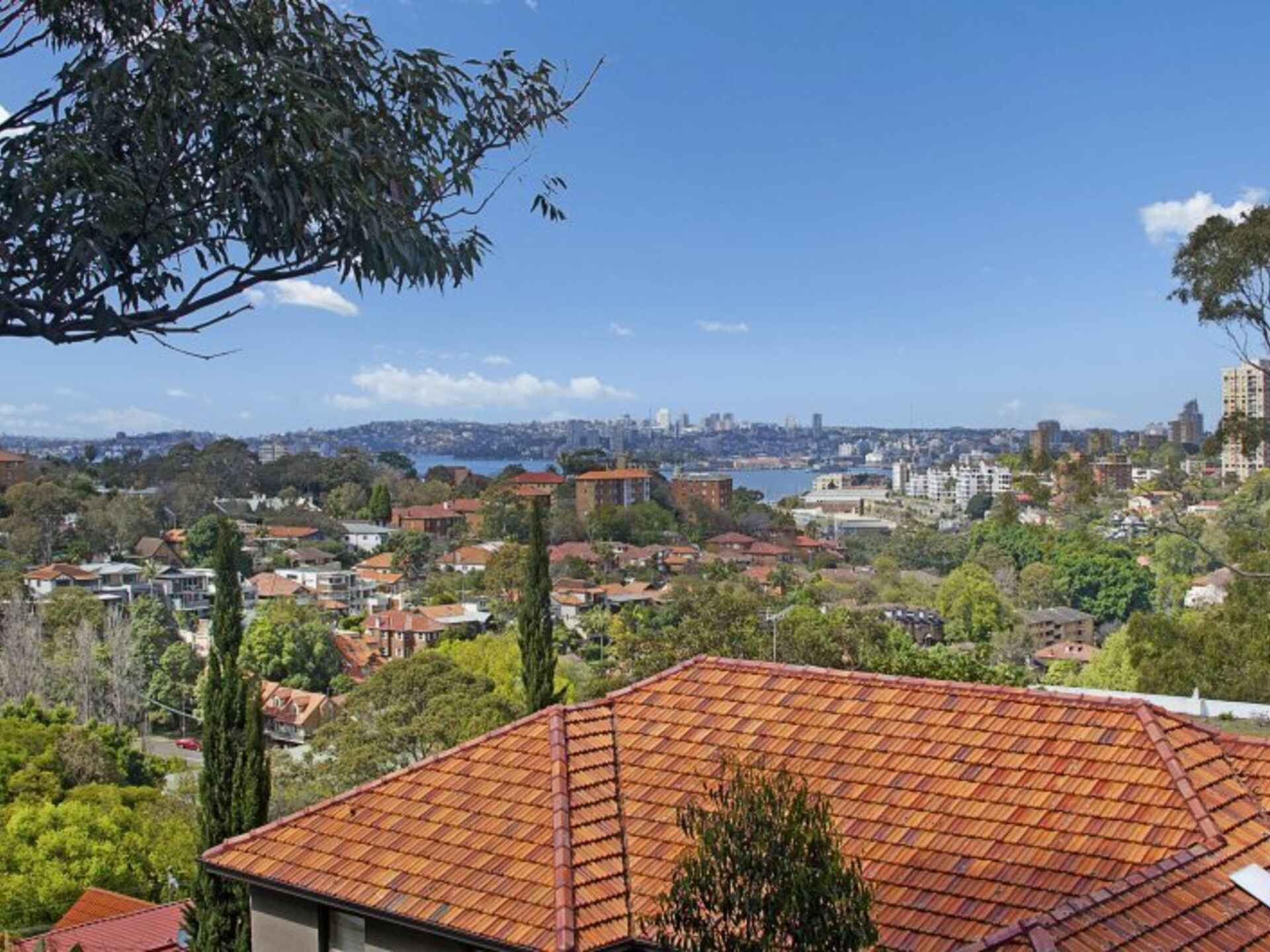 5/389 Alfred Street Neutral Bay