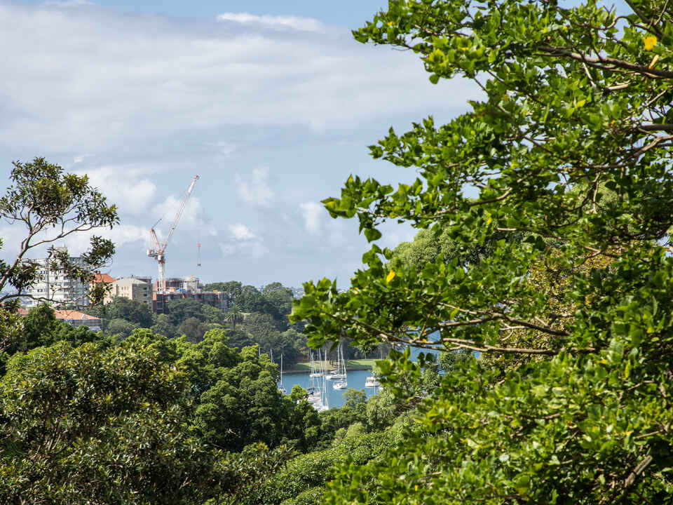 417/22 Doris Street North Sydney