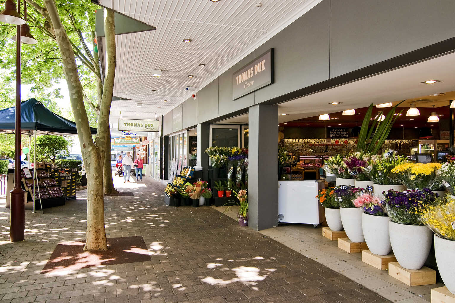 16/170 Falcon Street Crows Nest