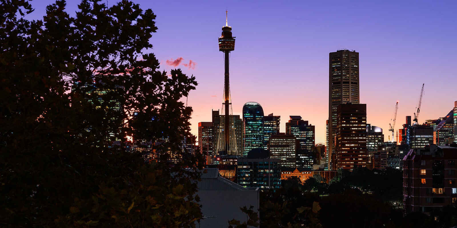 617/50-58 Macleay Street Potts Point