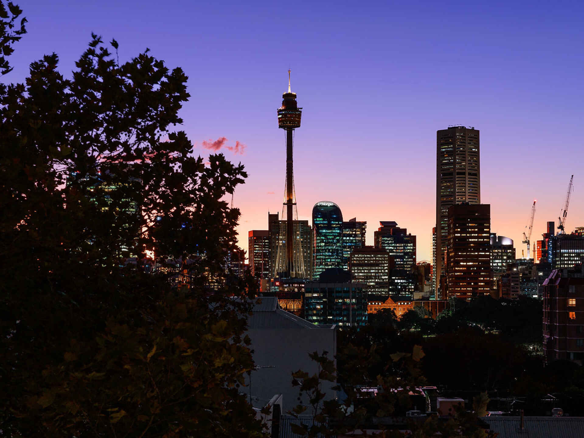 617/50-58 Macleay Street Potts Point