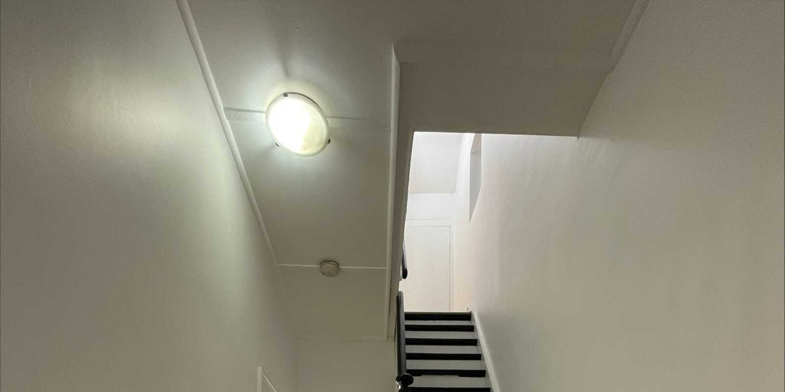 8A Bailey Street Newtown