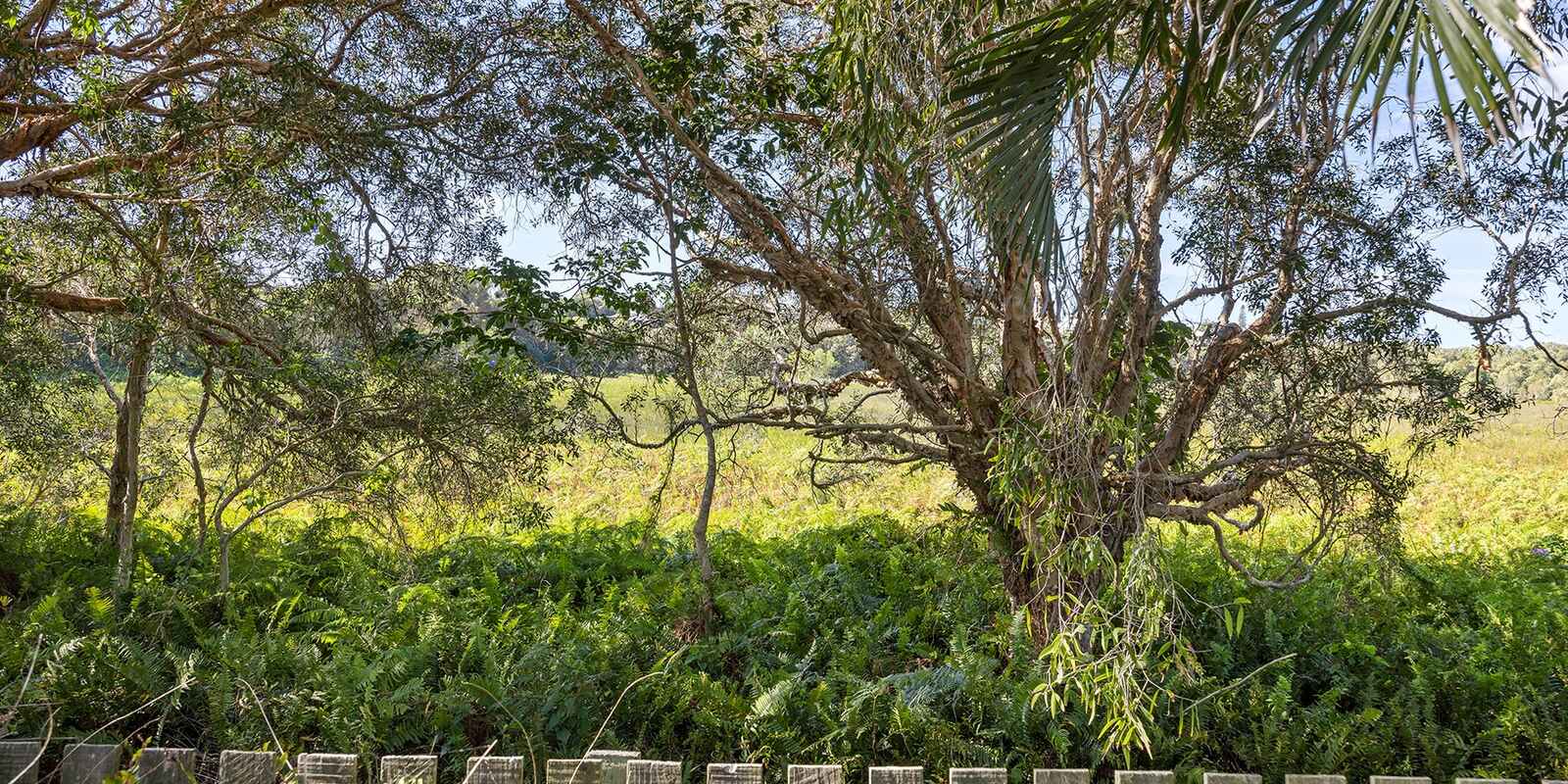 13 Spoonbill Street Peregian Beach