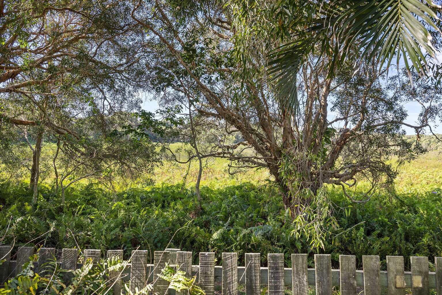 13 Spoonbill Street Peregian Beach