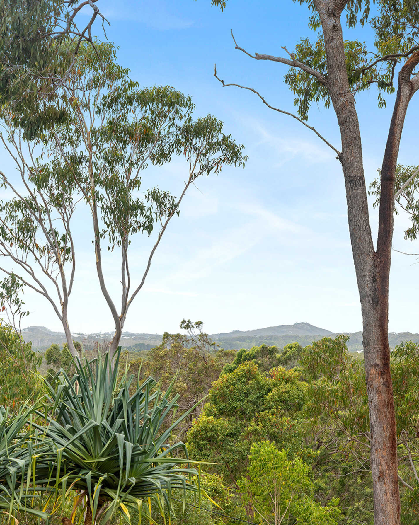 166 Arcoona Road Yandina Creek, Creek - Thumbnail 7