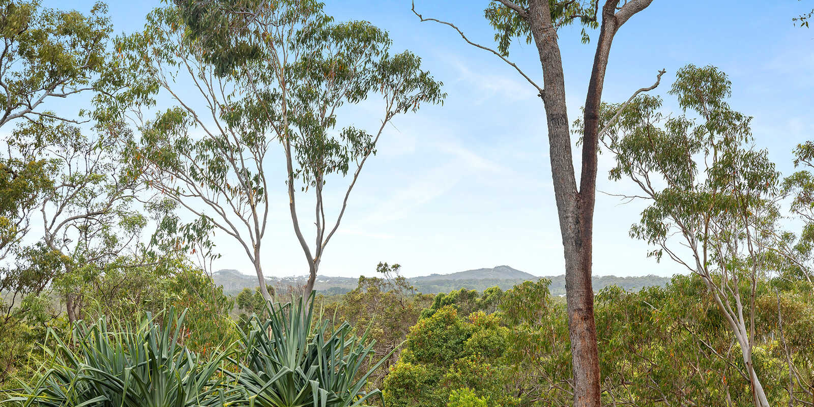 166 Arcoona Road Yandina Creek 166 Arcoona Road Yandina Creek