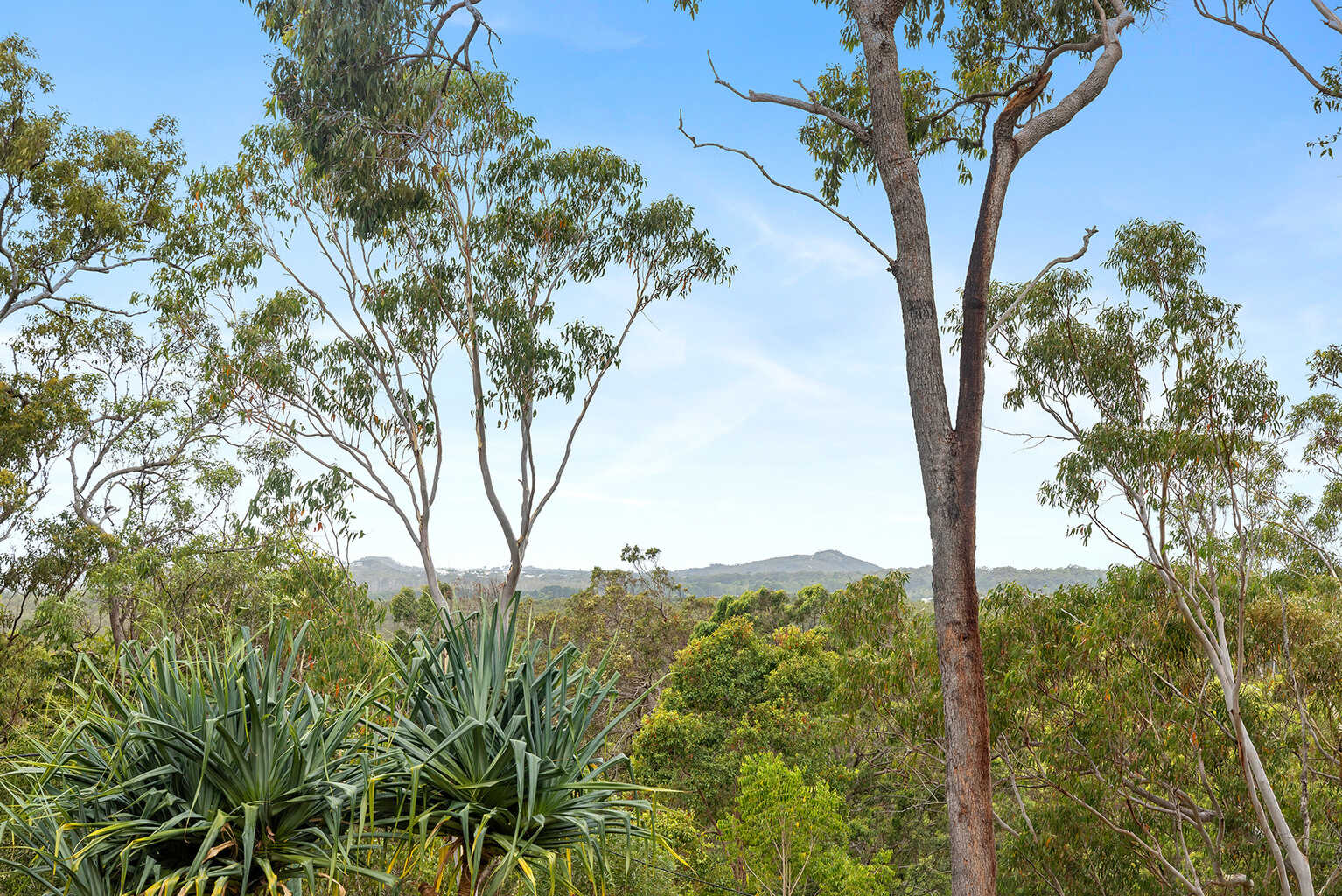 166 Arcoona Road Yandina Creek 166 Arcoona Road Yandina Creek