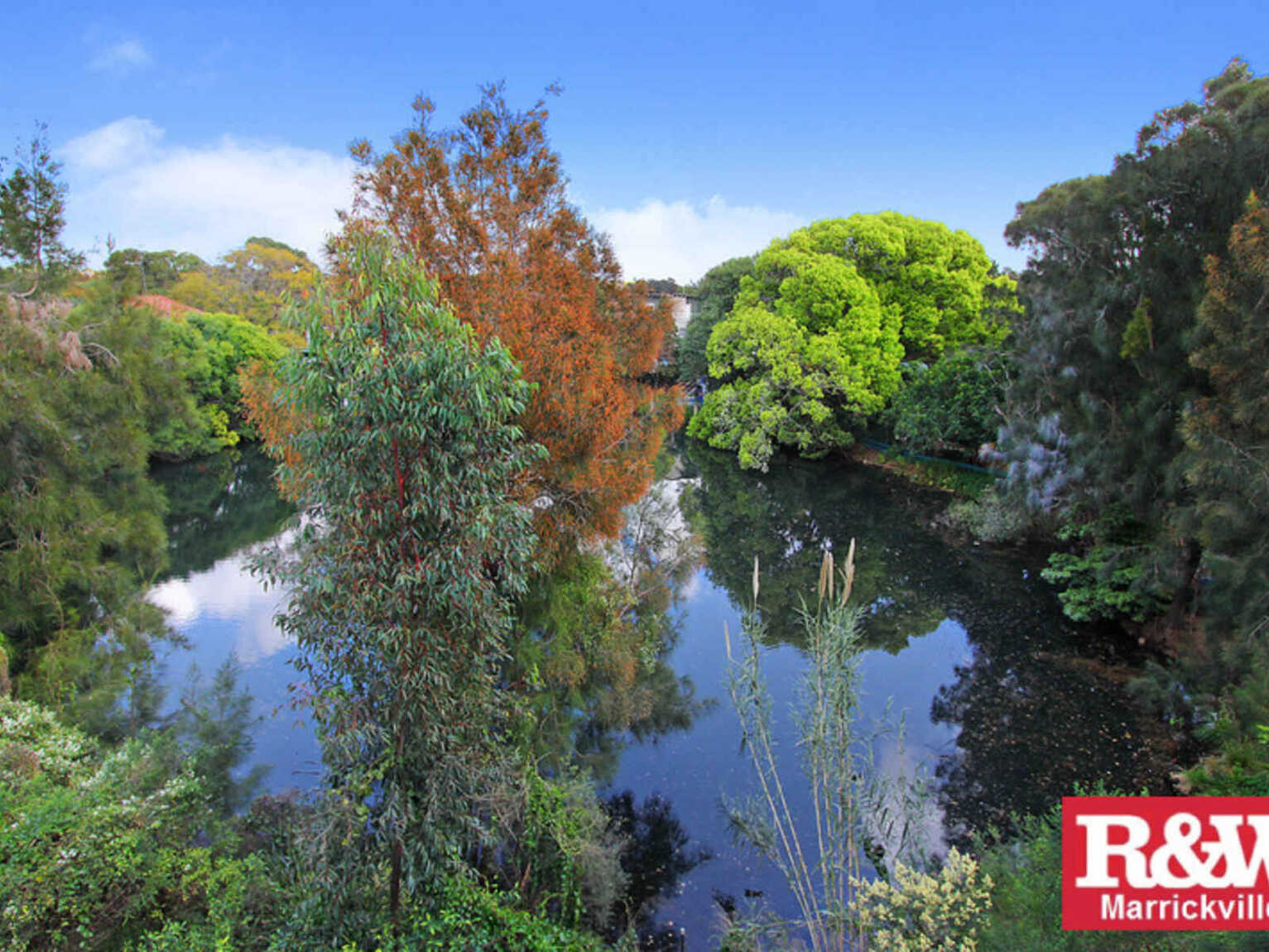 12/38B Ewart Street Marrickville