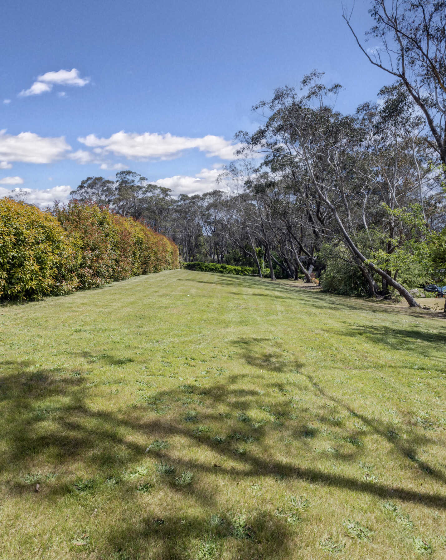 9 McCall Avenue Blackheath, Blackheath - Thumbnail 2