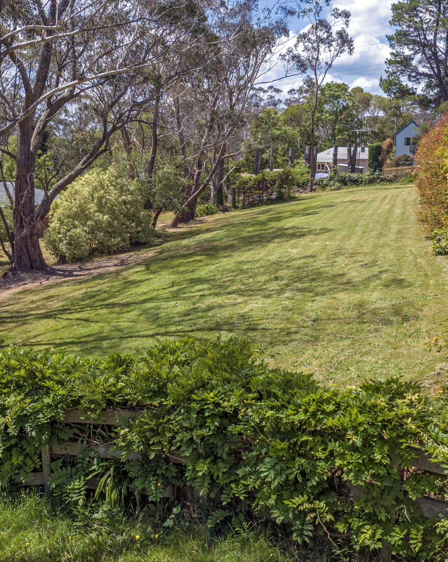 9 McCall Avenue Blackheath, Blackheath - Thumbnail 3