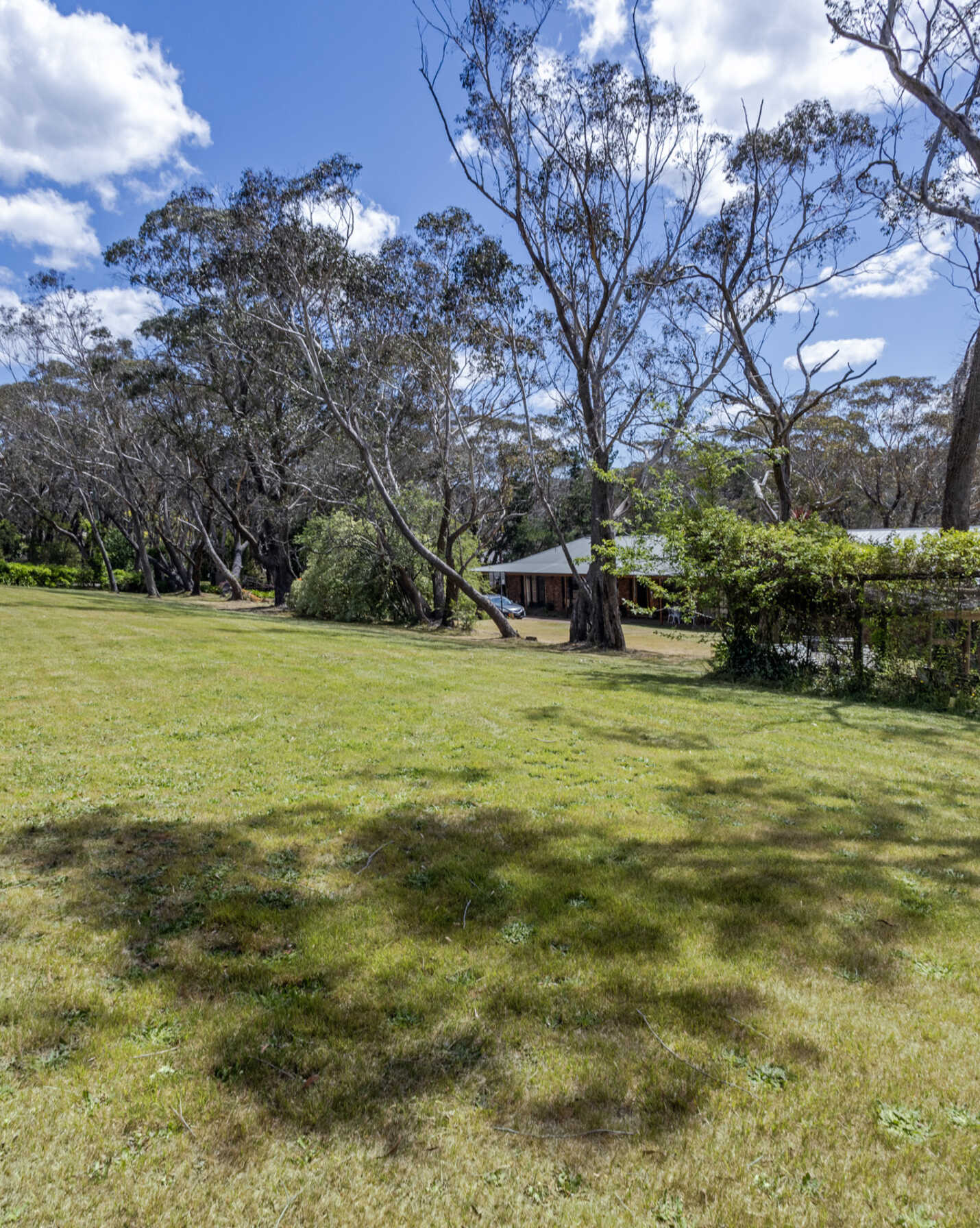 9 McCall Avenue Blackheath, Blackheath - Thumbnail 4
