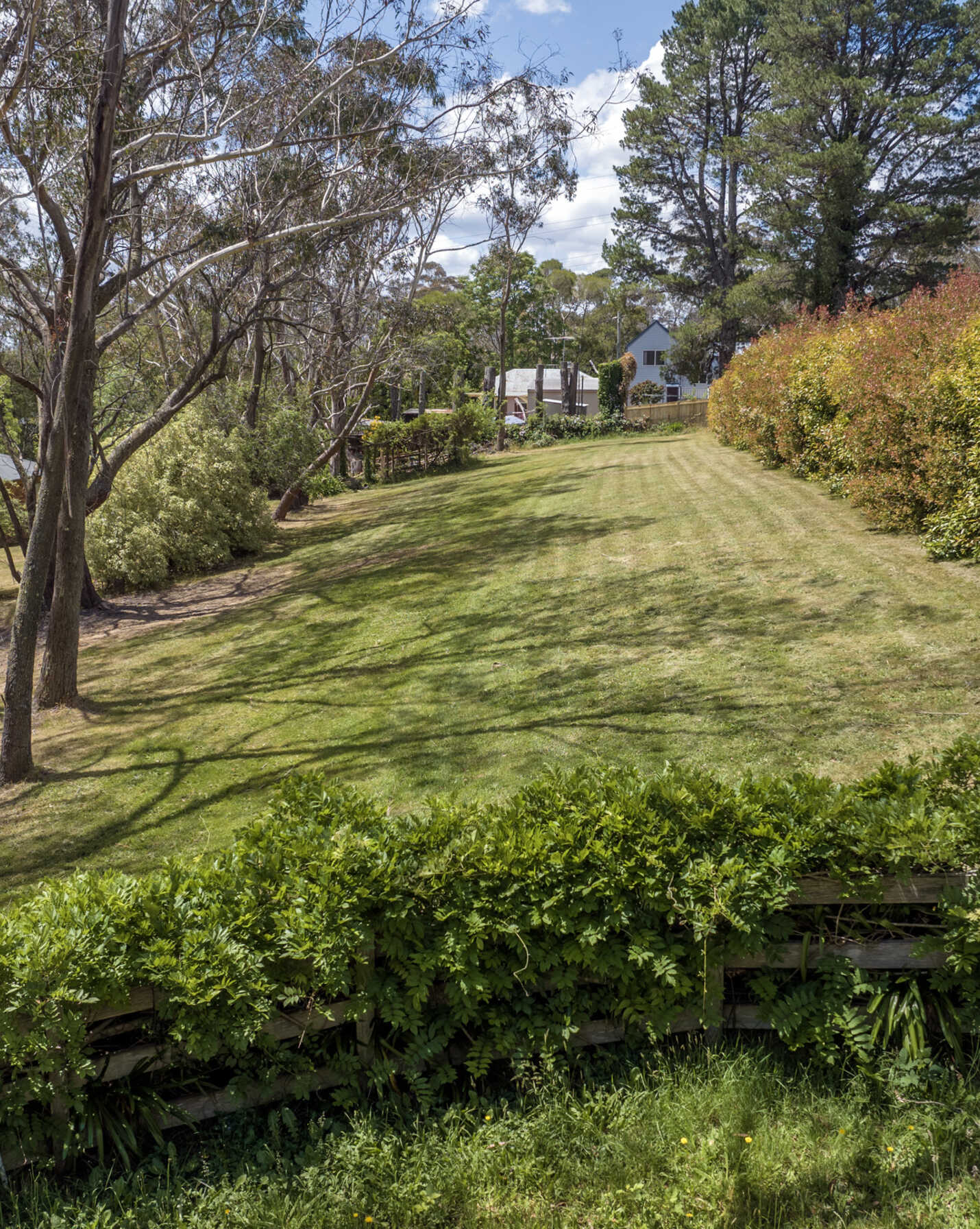 9 McCall Avenue Blackheath, Blackheath - Thumbnail 5