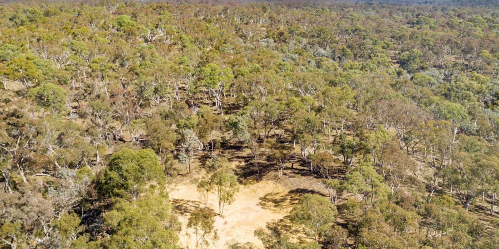 266 Strawberry Creek Road Windellama Goulburn 266 Strawberry Creek Road Windellama Goulburn