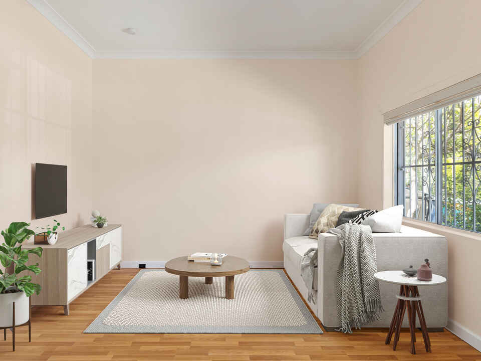 67 Petersham Road Marrickville
