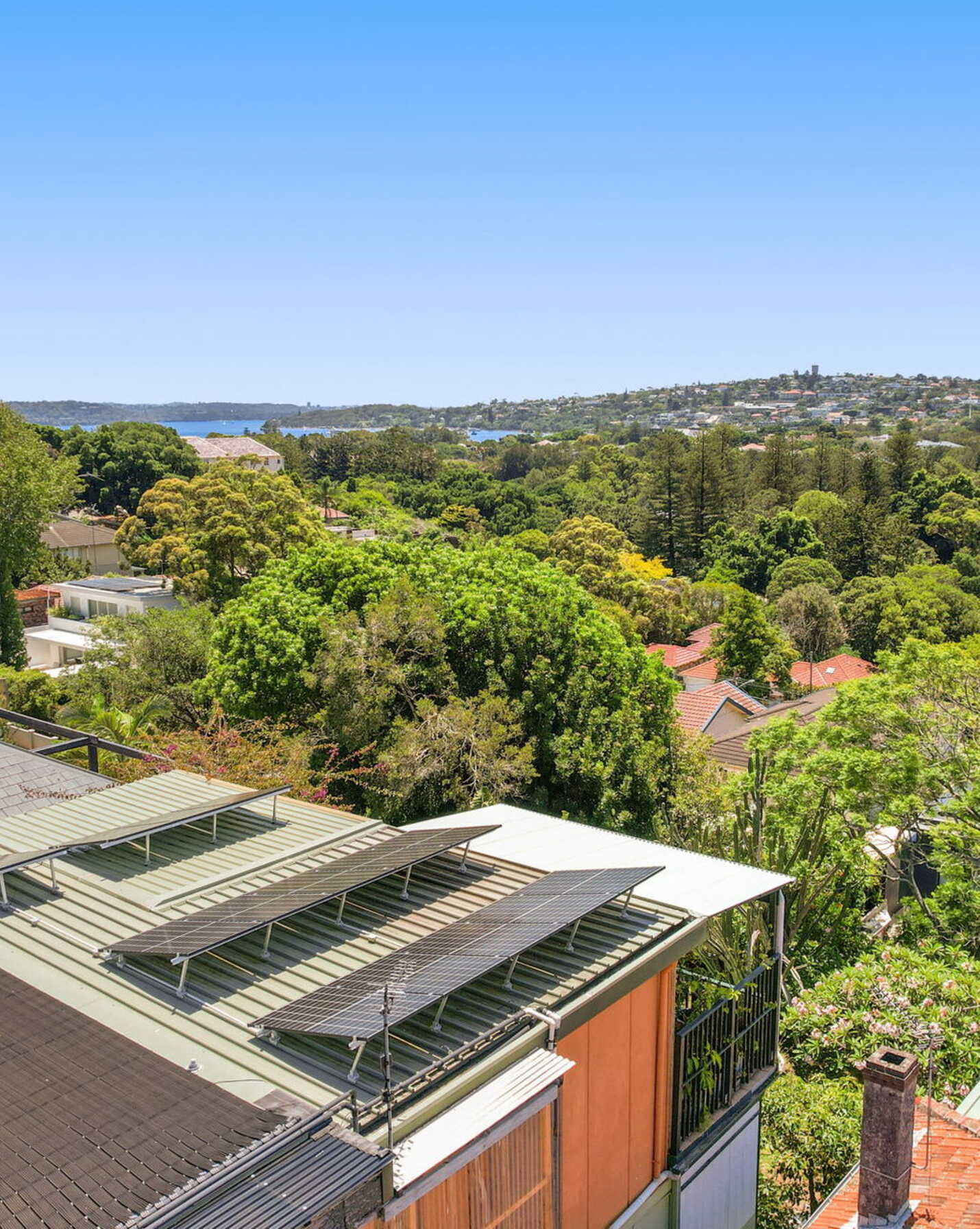 17 Bunyula Road Bellevue Hill, Hill - Thumbnail 7