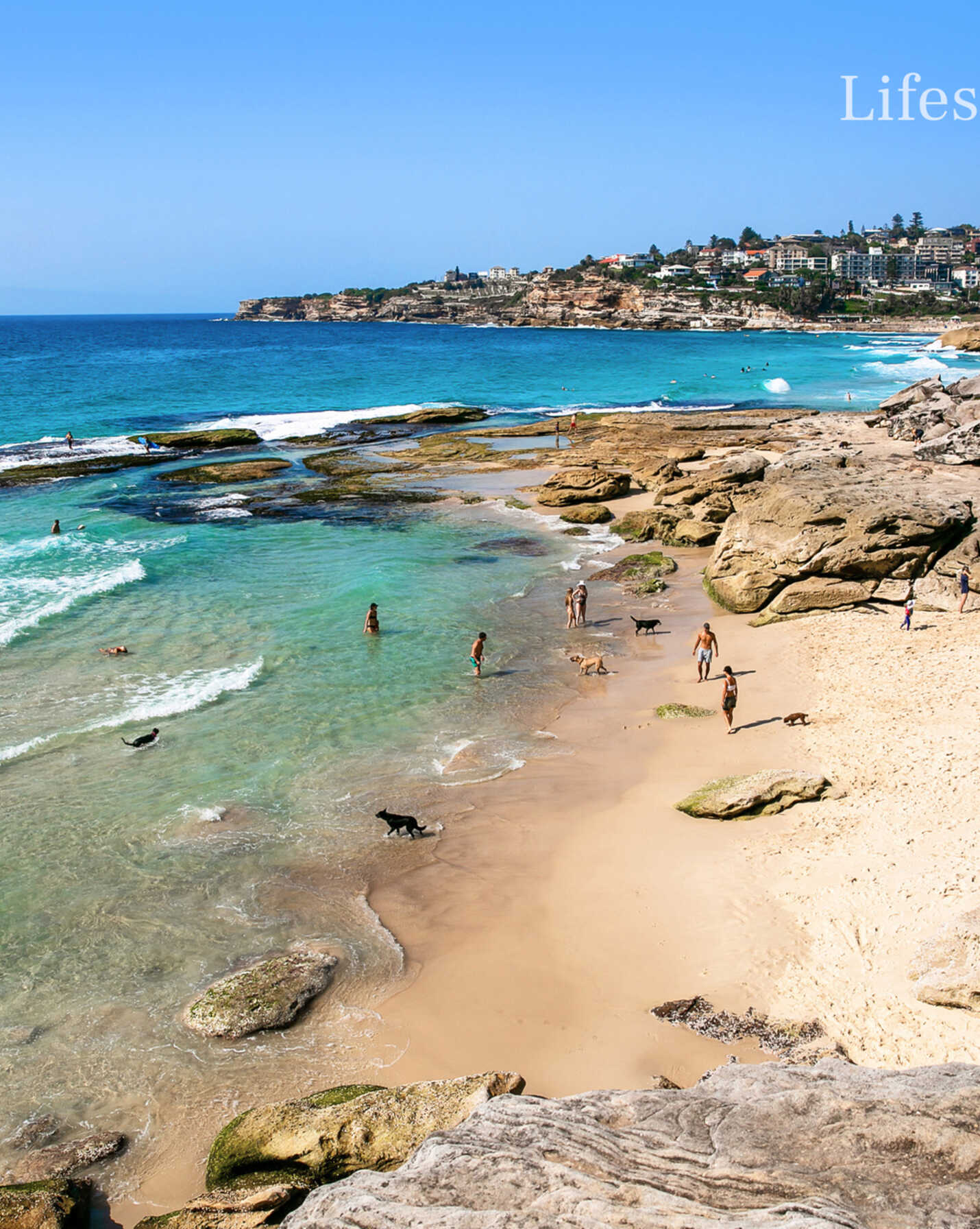 1/34A Fletcher Street Bondi, Bondi - Thumbnail 8