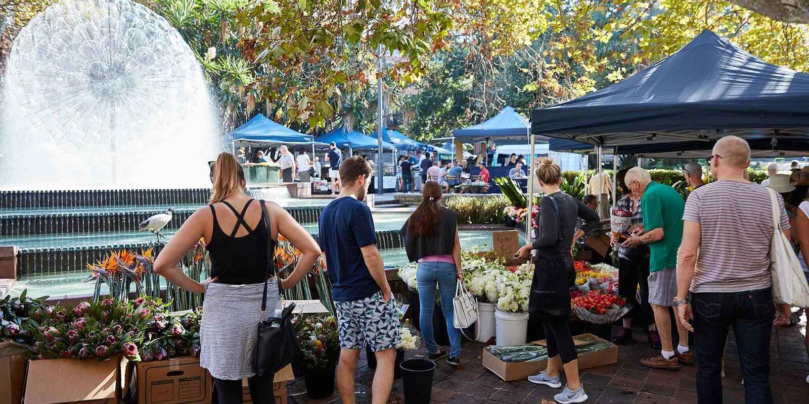 207/3-5 Greenknowe Avenue Elizabeth Bay