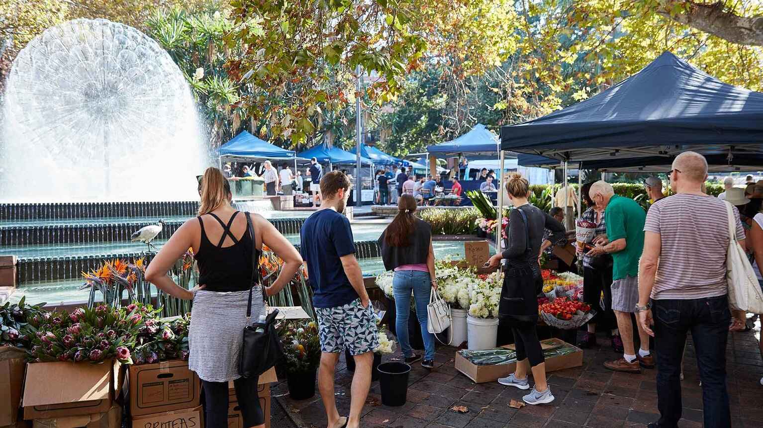 207/3-5 Greenknowe Avenue Elizabeth Bay