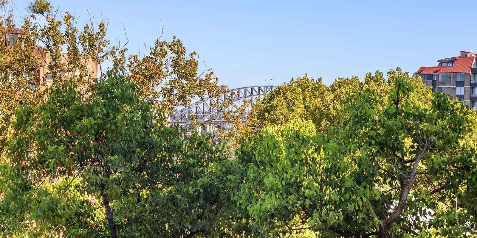 11/13 Springfield Avenue Potts Point