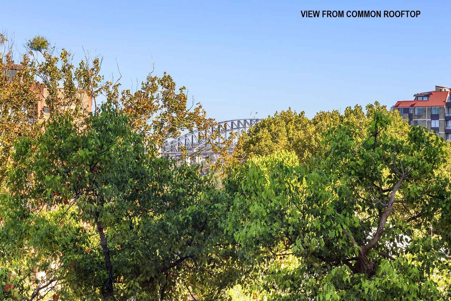 11/13 Springfield Avenue Potts Point