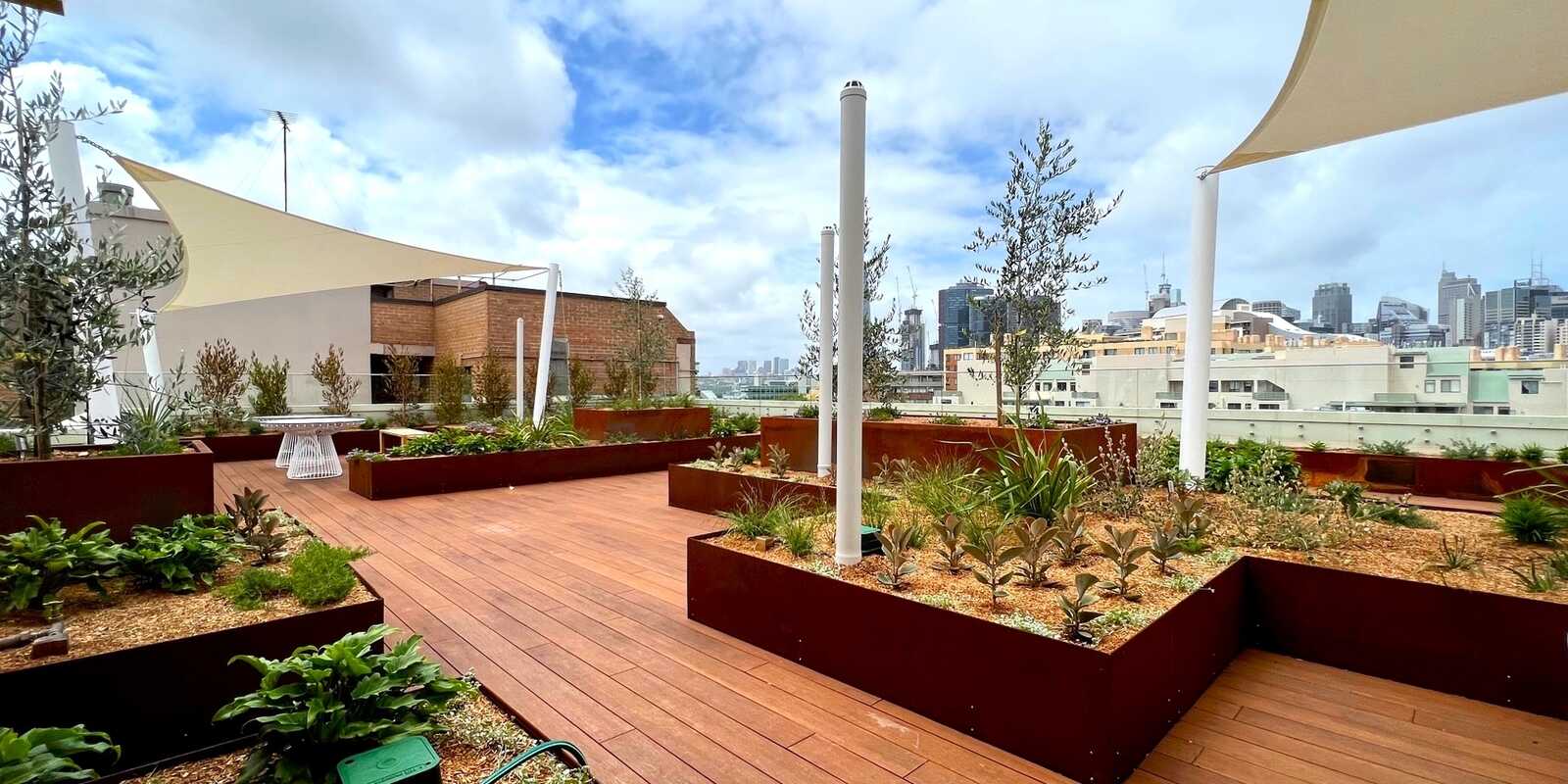 N703/233 Harris Street Pyrmont N703/233 Harris Street Pyrmont