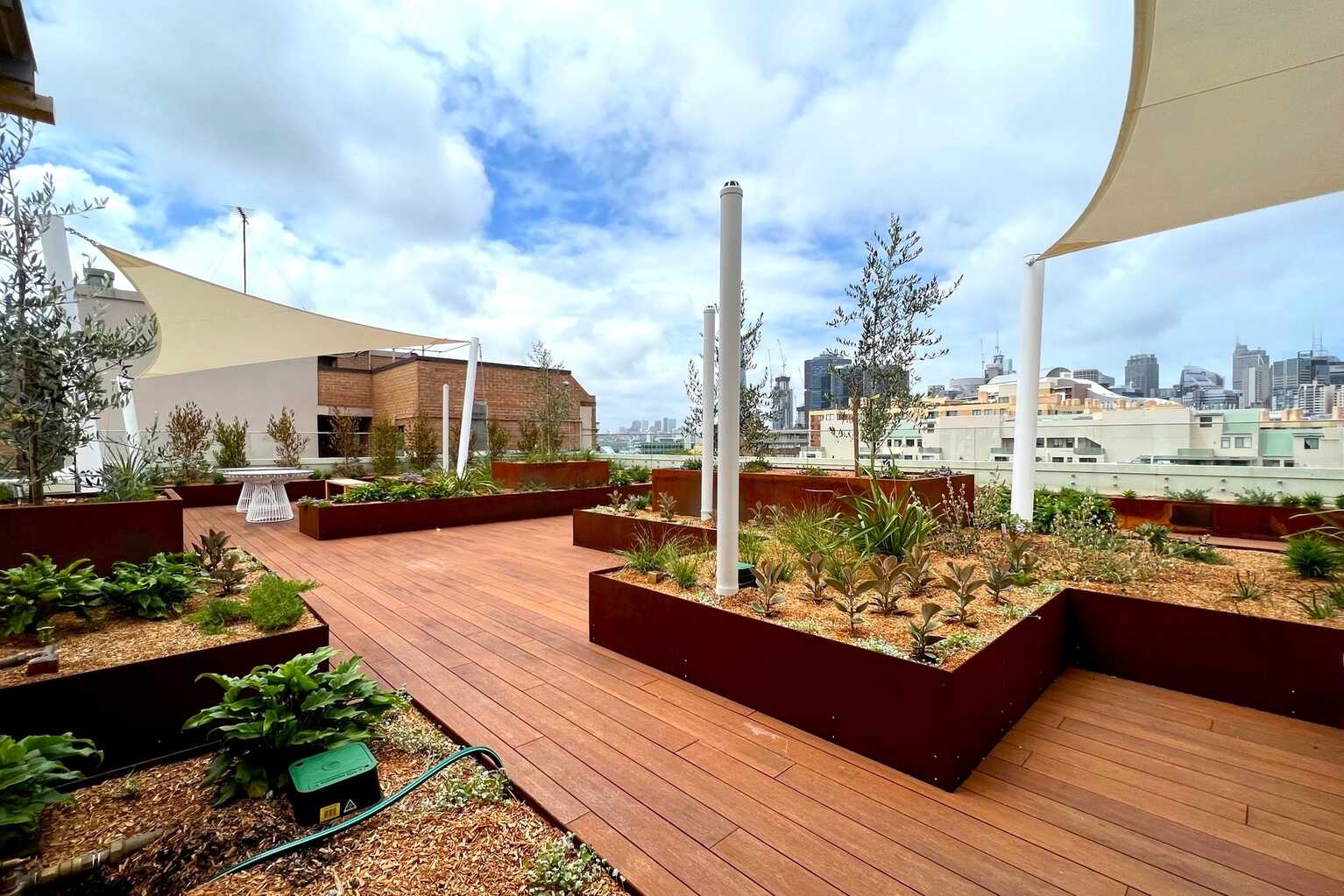 N703/233 Harris Street Pyrmont N703/233 Harris Street Pyrmont