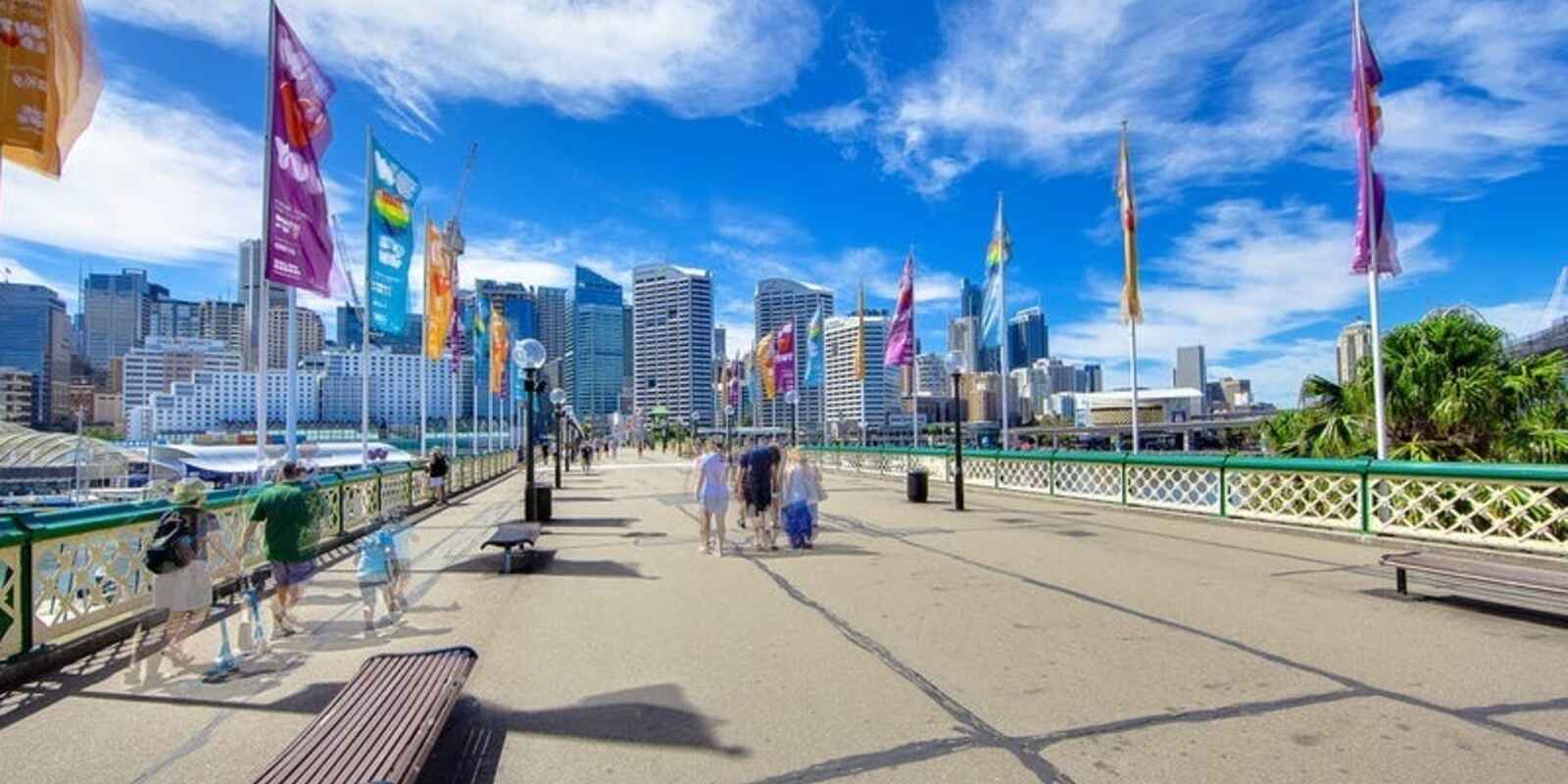 C2/42 Saunders Street Pyrmont C2/42 Saunders Street Pyrmont