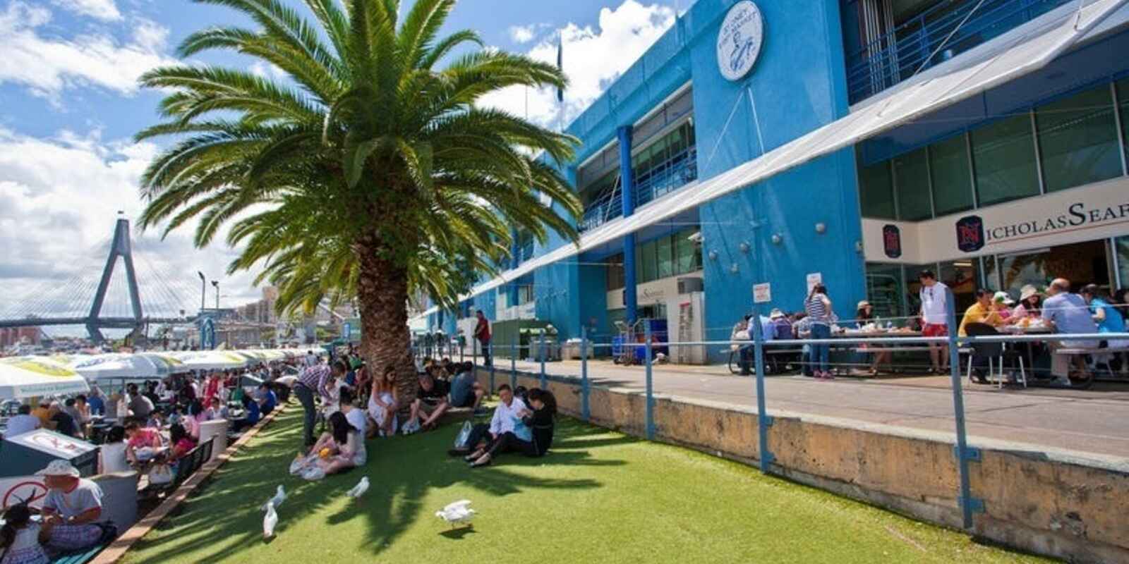 C2/42 Saunders Street Pyrmont C2/42 Saunders Street Pyrmont