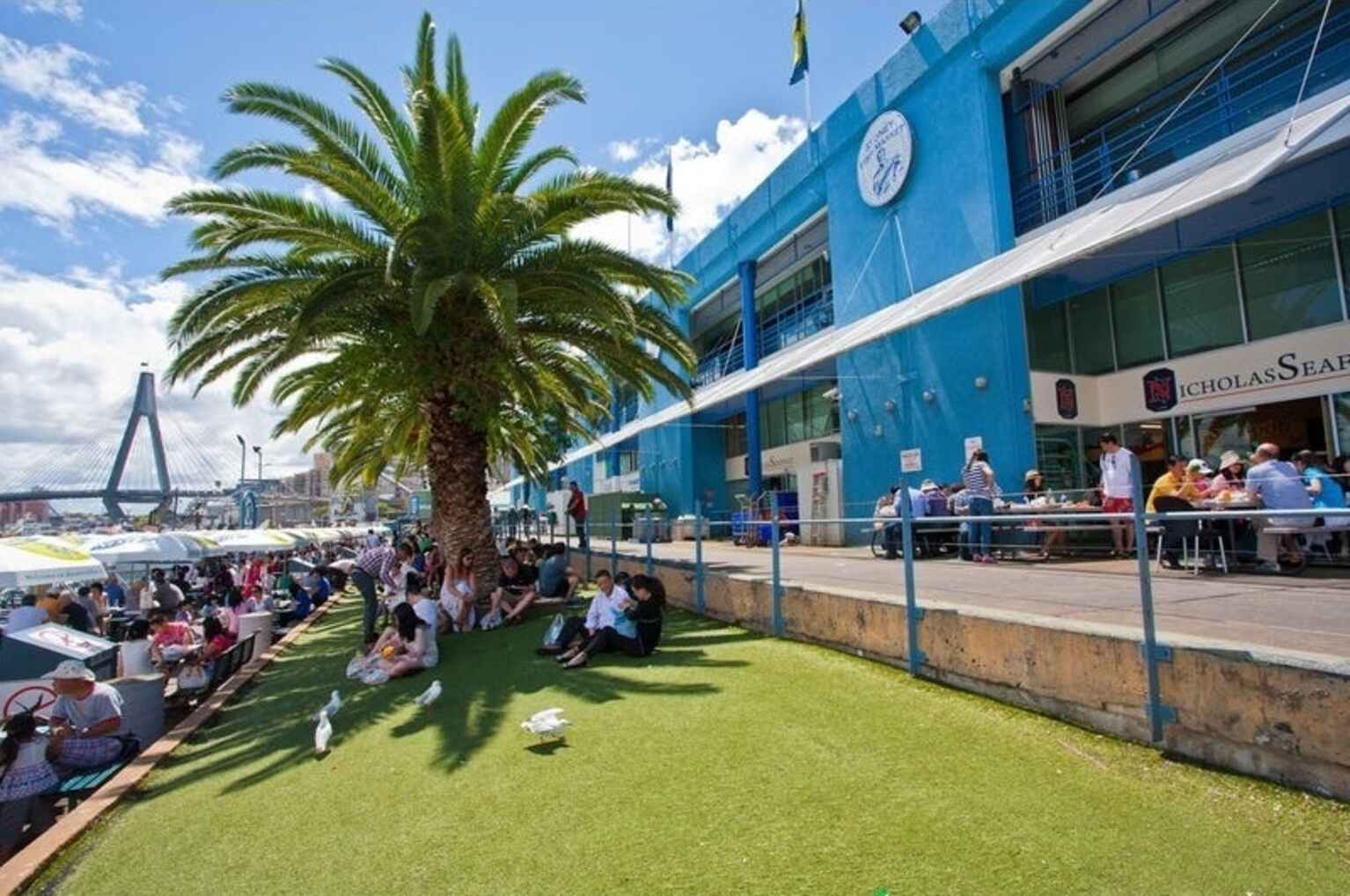 C2/42 Saunders Street Pyrmont C2/42 Saunders Street Pyrmont