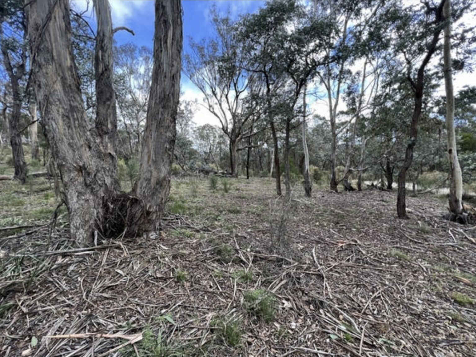 266 Strawberry Creek Road Windellama Goulburn